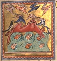 Foxes tricking birds, from the Aberdeen Bestiary, England c1200.